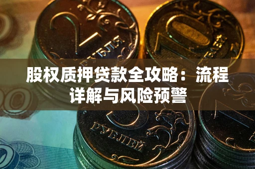 北京股权质押贷款全攻略：流程详解与风险预警